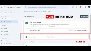 Website Index WordPress / Coding / Blogger | URL is not on Google fix | Faisaliteb SEO Live Class 46