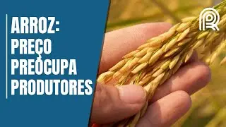 &lsquo;Retirada da tarifa do arroz pode criar estoque e prejudicar produtor brasileiro&rsquo;
