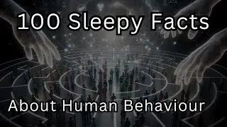 100 Facts About Human Behaviour &mdash; Fall Asleep to Psychology