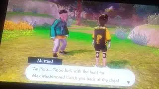 Pokemon journey to hammelock