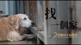 紀錄片【找一個家】| 狗腳印幸福聯盟 完整版