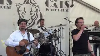 The CATS In The House / Jukebox - Rossum