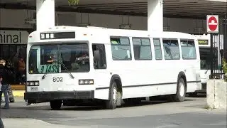 Eastway 802 - 1987 GM Classic TC40102N (ex-OC Transpo 8776)