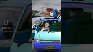 Wheel On The Bus  #shorts #kidsvideo #funny