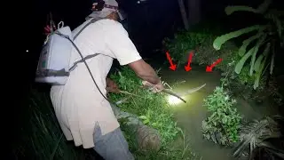 NYETRUM IKAN GABUS DI MALAM HARI DI PARIT SAWAH. LIHAT HASILNYA