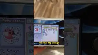 Pok&eacute;mon game full of nicknames