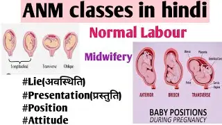 Normal Labour |ANM Midwifery Class in Hindi |Normal Labour Explained in Hindi| Presentation Position