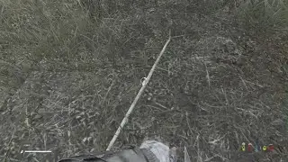 My First Friendly Encounter in Dayz
