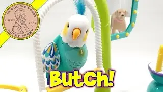 Little Live Pets Cleverkeet, I Name Him Butch The Bird!