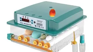 Hethya incubator 6 month review. Wonderful or trash?