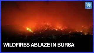 Drone Captures Smoke, Vegetation Damage as Wildfires Rage in Turkey's Bursa | Dawn News English