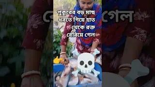 পুকুরের বড় বড় মাছ ধরা দেখে নাও। fishing in the village | #shorts #fishing #viralsong #villagevlog