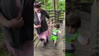 Lets Explore the Swiss Family Treehouse!