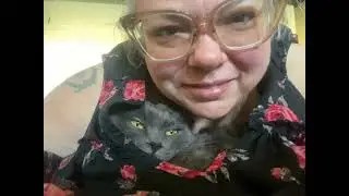 Candid Cat Camera 128 OCT 01 2025 #cat