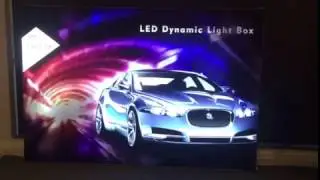 Dynamic LED Media Display - WIld Cow Visual Media Display