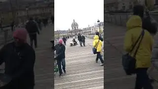 The Pont des Arts Bridge (Bridge of Arts)