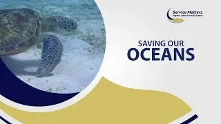 Saving Our Oceans | Service Matters