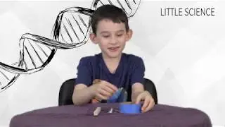 Little Science Rubber Band Shooter