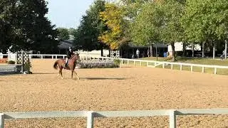 Tiani Ibbotson Hunter OF 2&rsquo;9