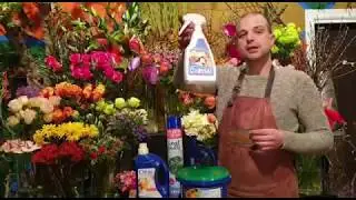 Teunis Veenema of Master Florist on how to use Chrysal products