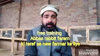 rabbit farming Free training Abbas Rabbit farm Peshawar