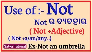 Use of Not for negative sentence