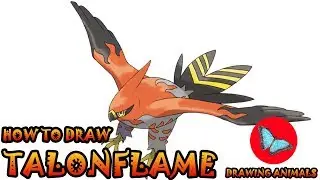 How To Draw Talonflame Pokemon | Drawing Animals