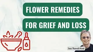 Flower remedies for grief and loss (Interview with Sarah Brune)