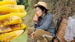 The girl caught a giant honeybee nest and was stung all over her body. L&yacute;TiểuCa3