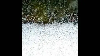 Sk [Rain] - Glitch Trick (2nd Edit)
