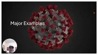 Bat-borne Viruses