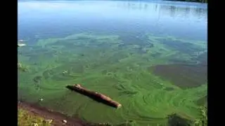 Protecting Lake Whatcom