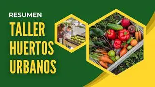 Resumen del Taller Virtual de Huertos Urbanos | Mundo Agron&oacute;mico TV