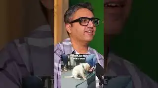 WHY Ashneer Grover LEFT BharatPe...!! #ashneergrover #bharatpe  #short
