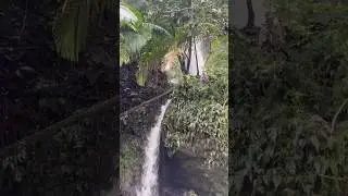 &ldquo;Hidden Waterfall in El Yunque 🌧️💦 Puerto Rico&rsquo;s Magical Rainforest&rdquo;