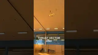 REXTRA 260 - Thrust Vector Control & bi-directional ESC #air #plane #airplane #rcplane #modellbau