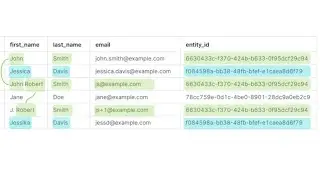 Automating Snowflake Data Deduplication with Tilores