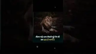 दहाड़ ही काफी है 💯 motivation video study status#study_status #upsc_status #motivational