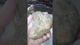 Minerales de oro, calcopirita,cuarzo, plata y galena