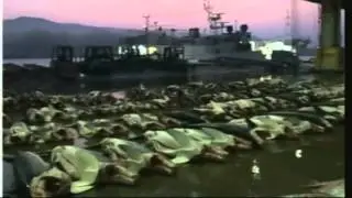 Tsunami revisited: The Ocean that gives and takes