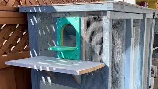 Homers Loft -small and efficient
