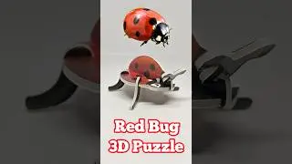 3D-головоломка &laquo;Красный жук&raquo; 🐞 #шорты #головоломка #игравголоволомку #жук #красныйжук #жучок #бож...