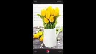 App Preview - Exposure