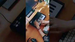 Daft Punk - End of Line (Live Loop Cover) | Minilab 3