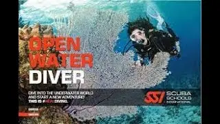 Groundhog Divers How to create your own SSI Profile