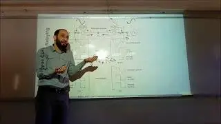 Power System Protection  Lecture 22  chapter 6 part 2
