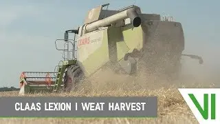 CLAAS Lexion 550 | Wheat harvest | Tarwe dorsen | 2018 | Blitterswijk Agro | Victor Video
