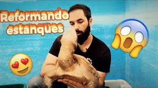 ESTANQUE,NUEVA CASA TORTUGA LAGARTO Trabajos Y Reformas en  estanques tortugas(Bichos Y monstruitos