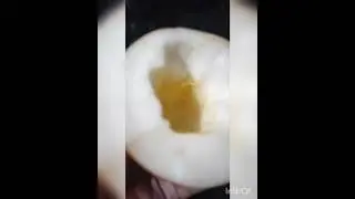 चीबुड ज्यूस (chibud juise)