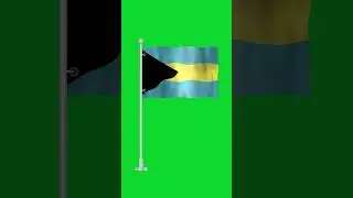 Bandera de las BAHAMAS (Shorts) - Green Chroma key